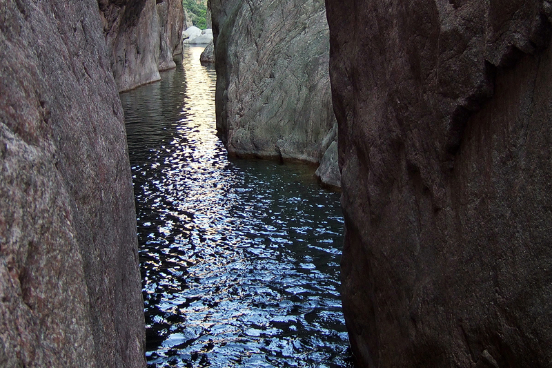 DSCF0724_F30_800.jpg - ... und anschließende lange Schwimmstrecke