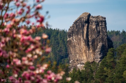 Talwächter