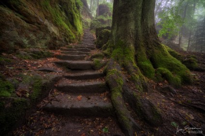 a7RIII_05653_NAL alte Stufen