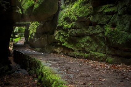 IMG_7381_NAL Das Tor im Uttewalder Grund, Elbsandsteingebirge