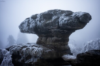 a7IV_25_07503_NAL Tissaer Wände / Tiské stěny