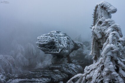 a7IV_25_07512_V2_NAL Tissaer Wände / Tiské stěny