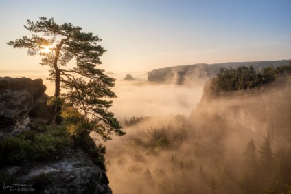 a7RIII_07484_NAL Nebel im Kleinen Zschand