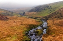 IMG 02442 7D 800  Dartmoor, Davon