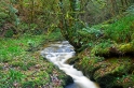 IMG 03234 1000D RAW 800  Lydford Gorge