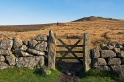 IMG 03508 1000D 800  Hemsworthy Gate, Weg zum Rippon Tor, Dartmoor