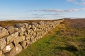 IMG 03520 1000D 800  Steinmauer in der Nähe des Hemsworthy Gate, Rippon Tor, Dartmoor