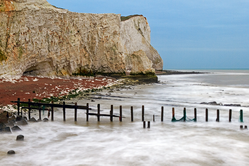 IMG_01808_7D_800.jpg - Seaford Head, East Sussex