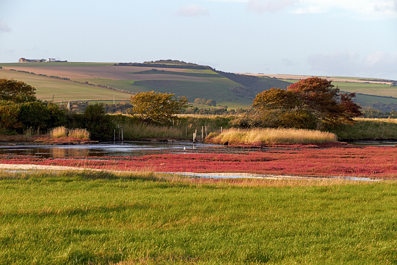 IMG_02121_7D_800.jpg - Chukmare Haven, East Sussex