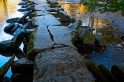 IMG_04489_1000D_800