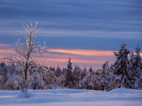 "Glastraum", Osterzgebirge  6D 105216 1024 © Iven Eissner : Aufnahmeort, Deutschland, Erzgebirge, Europa, Sachsen, Winter