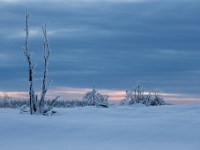 Winterstimmung, Zinnwald  6D 105316 1024 © Iven Eissner : Aufnahmeort, Deutschland, Erzgebirge, Europa, Sachsen, Winter