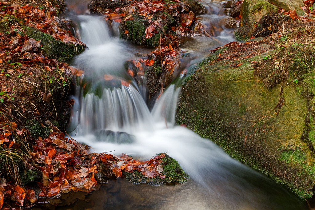 IMG_19930_RAW_7D_1024.jpg - Gelobtbach, Elbsandsteingebirge (Sächsische Schweiz)