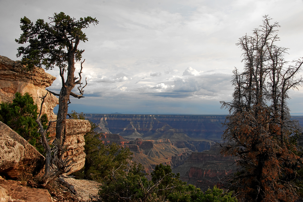 IMG_9795_1024.jpg - Grand Canyon, north rim, USA