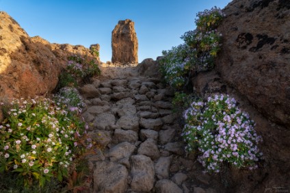 Weg zum Roque Nublo