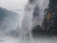 Nebelstimmung, November 2016  6D 150517 NAL © Iven Eissner