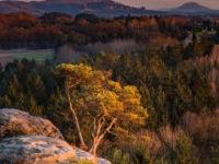 Gamrig, Dezember 2016  6D 157623-HDR NAL © Iven Eissner : Aufnahmeort, Deutschland, Elbsandsteingebirge, Europa, Sachsen