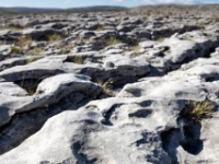 The Burren  6D 57506 2k © Iven Eissner : Aufnahmeort, Europa, Irland