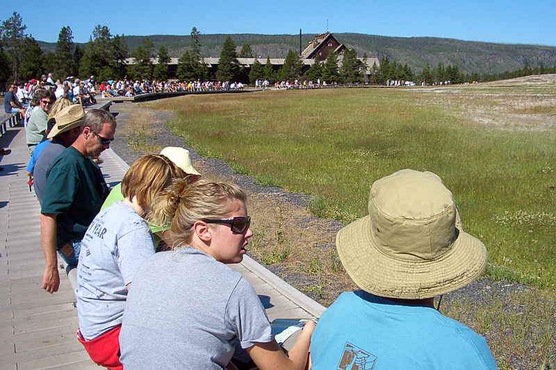 CIMG0914_800.jpg - ... und seine Fans - Yellowstone NP, USA
