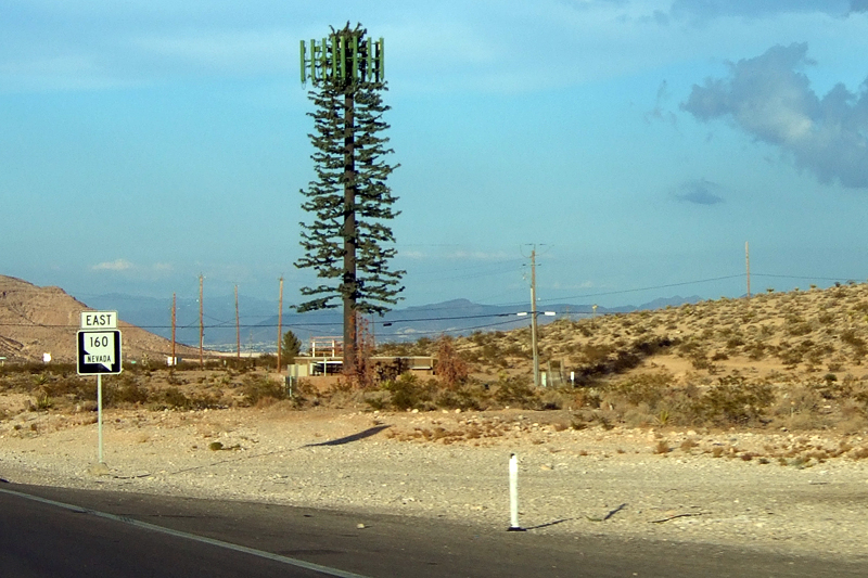 DSCF1211_800.jpg - Der einzige Baum in 100 Meilen Umkreis - ein Sendemast
