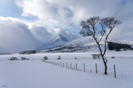 a7IV_25_00083_NAL Vestvågøy