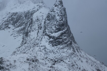 a7IV_25_00345_NAL Reine, Moskenesøya