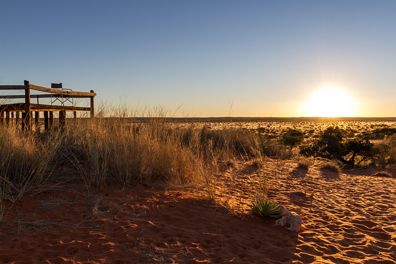 7D_16990_Mnt_800.jpg - Red Dune Camp, Kalahari