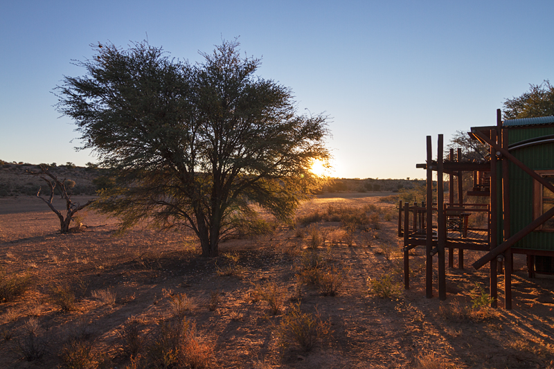 7D_17101_RAW.jpg - Urikaruus Wildernis Camp