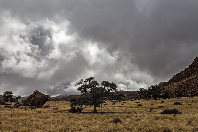 7D_18470_RAW_800.jpg - Kaltfront, Regen und Graupel in Koiimasis (und Schnee in Aus)