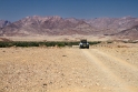 7D_20984_RAW_800