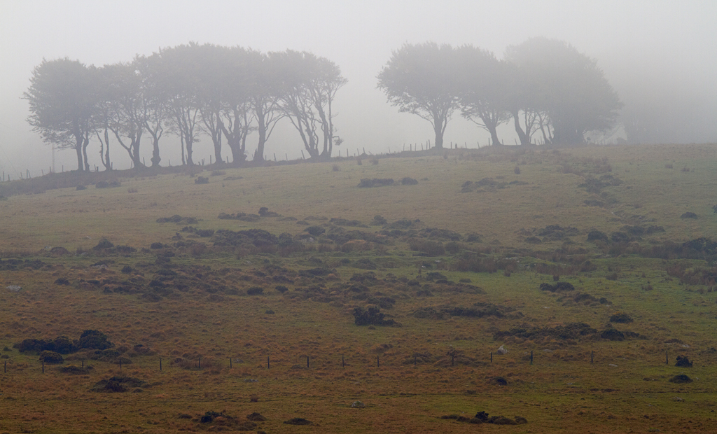IMG_02395_7D_1024.jpg - Dartmoor
