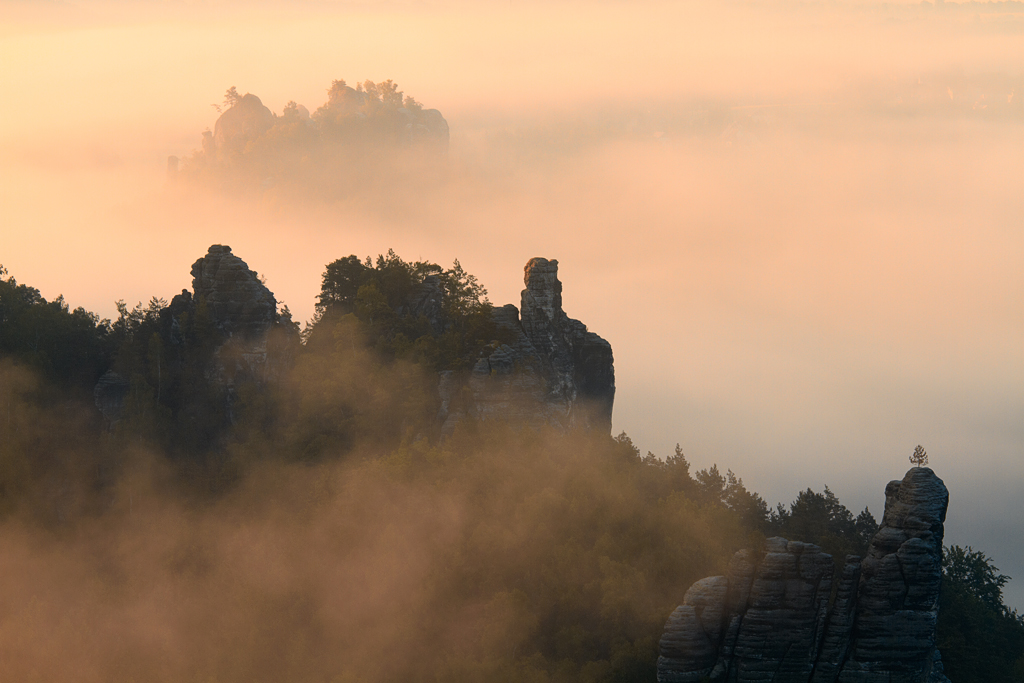 IMG_06848_7D_1024.jpg - Rathen, Talwächter, Feldköpfe und Gamrig im Morgennebel