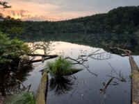 Herthasee  6D 26071 1024 © Iven Eissner : 2x3, Jasmund, Meer, Nationalpark, Ostsee