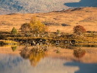 6D 91828 1024 © Iven Eissner : Aufnahmeort, Europa, Glencoe Gebiet, Rannoch Moor, Schottland, UK