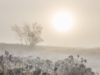 6D 92314 1024 © Iven Eissner : Aufnahmeort, Europa, Glencoe Gebiet, Rannoch Moor, Schottland, UK