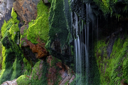 Wundetrbare Wasserfäden, spanische Norküste, Asturien  6D Mark II 05248 NAL | © Iven Eissner : Asturien, Europa, Playa de La Gueirúa, Spanien, Aufnahmeort