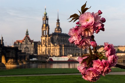 6D_00921_800 Frühling III