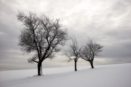 M5_00318_2k Winterlandschaft