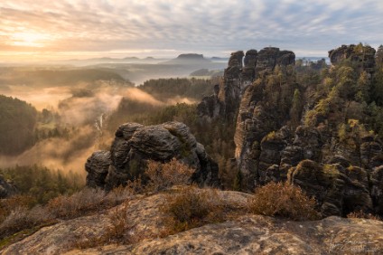 IMG_3540-NAL Januarmorgen, Rathen, Elbsandsteingebirge