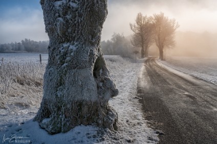 a7RIII_04536_NAL-1 Winterstimmung