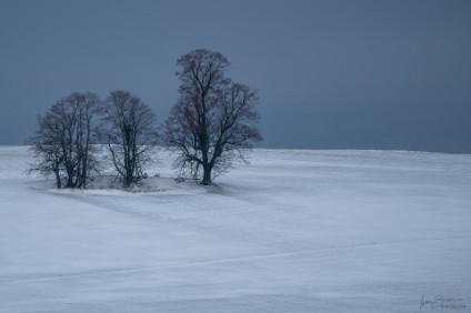 Winterlandschaft