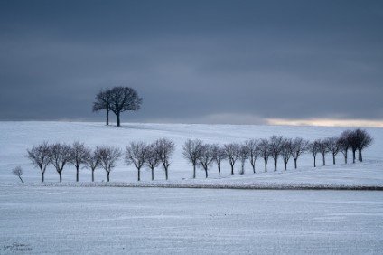 Winterlandschaft