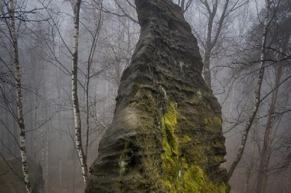 Block im Nebelwald