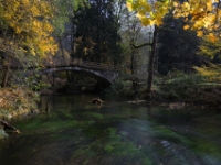 Brücke an der Königsfichte, Böhmens erste Stahlbetonbrücke  6D 149165 2k © Iven Eissner : Aufnahmeort, Böhmen, Böhmische Schweiz, Europa, Tschechien