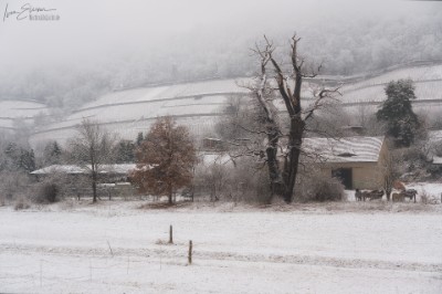 a7RIII_09675_NAL Pulsnitz