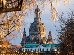 Frühling, Parks und Blüten