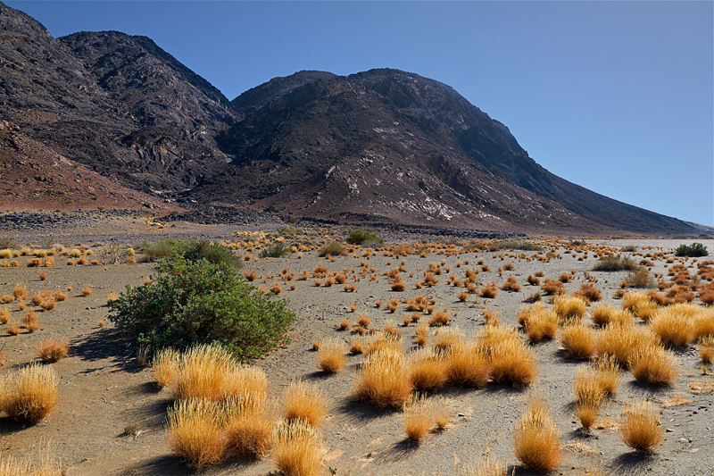 IMG_07799_7D_800.jpg - C37 nördlich Aussenkehr, Namibia