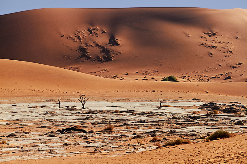 IMG_08662_7D_800.jpg - Sossusvlei, Namib