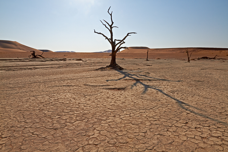 IMG_08689_7D_800.jpg - Death Vlei, entgegen der Standardperspektive, Namib