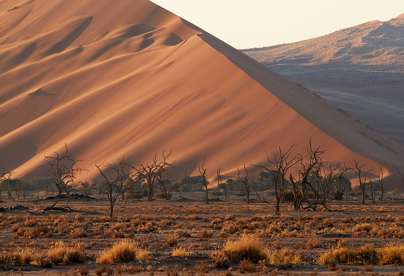 IMG_08833_7D_800.jpg - Sossusvlei, Namib